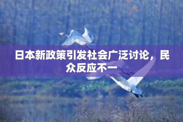 日本新政策引发社会广泛讨论，民众反应不一
