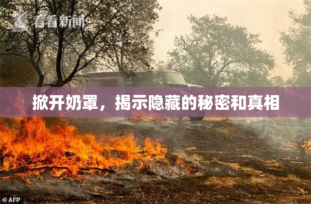 掀开奶罩，揭示隐藏的秘密和真相