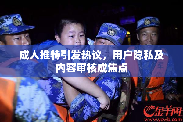 成人推特引发热议，用户隐私及内容审核成焦点