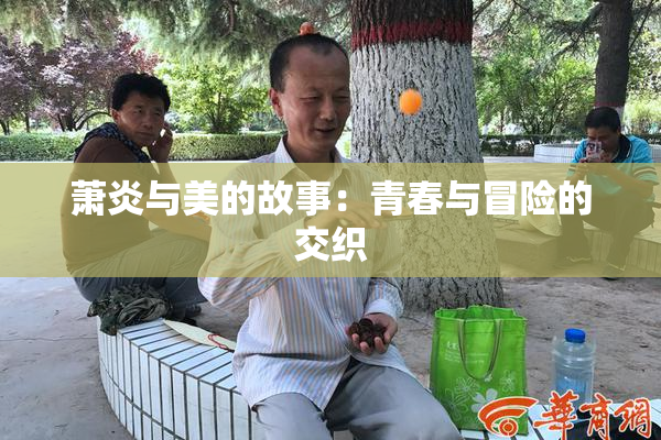 萧炎与美的故事：青春与冒险的交织