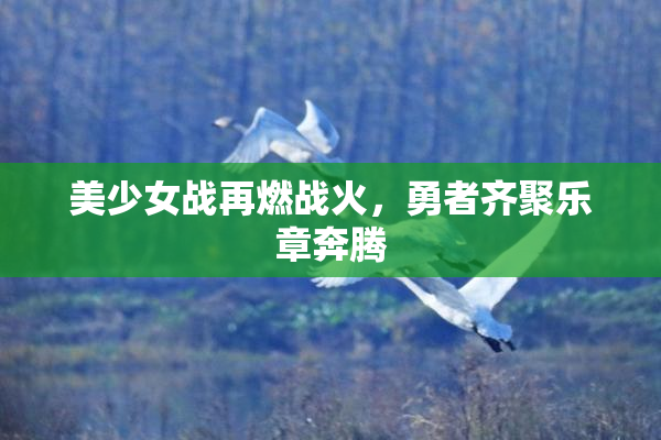 美少女战再燃战火，勇者齐聚乐章奔腾