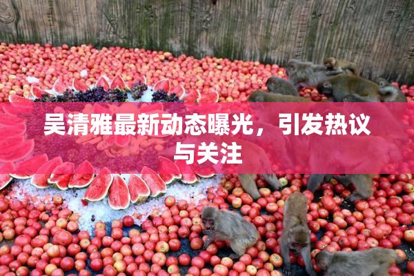吴清雅最新动态曝光，引发热议与关注
