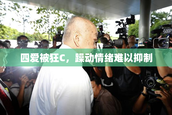 四爱被狂C，躁动情绪难以抑制