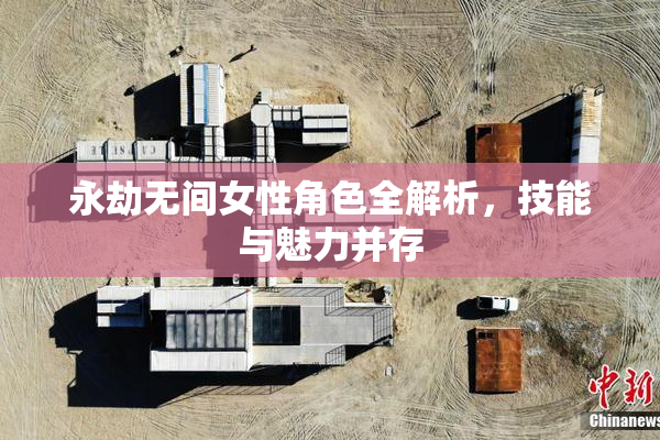 永劫无间女性角色全解析，技能与魅力并存