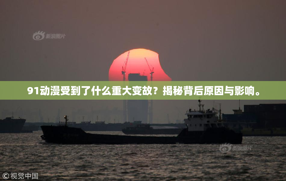 91动漫受到了什么重大变故？揭秘背后原因与影响。