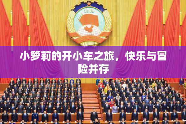 小箩莉的开小车之旅，快乐与冒险并存
