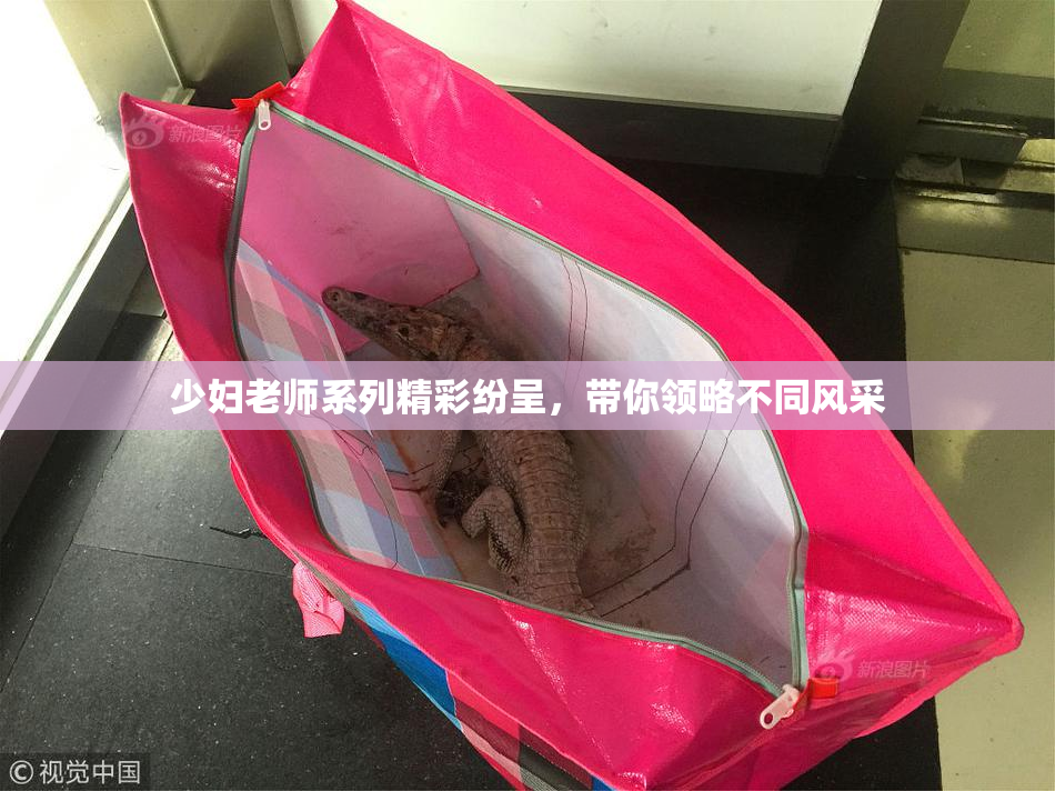 少妇老师系列精彩纷呈，带你领略不同风采