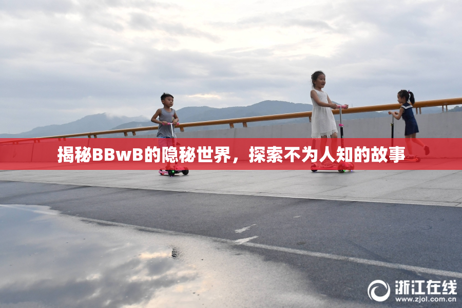 揭秘BBwB的隐秘世界，探索不为人知的故事