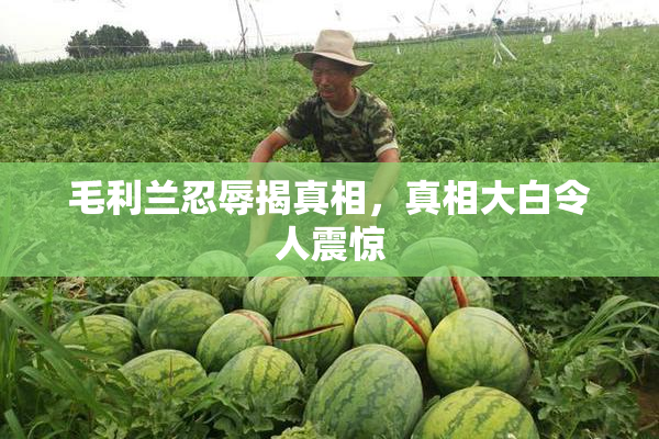 毛利兰忍辱揭真相，真相大白令人震惊