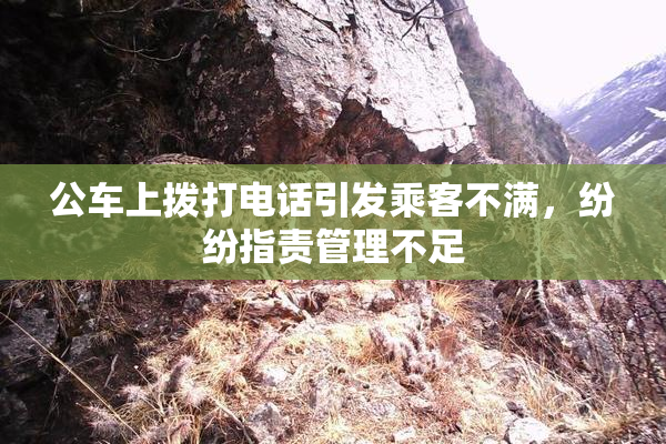 公车上拨打电话引发乘客不满,纷纷指责管理不足