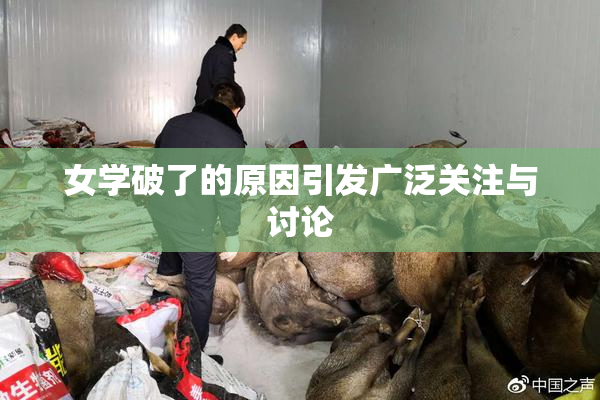 女学破了的原因引发广泛关注与讨论