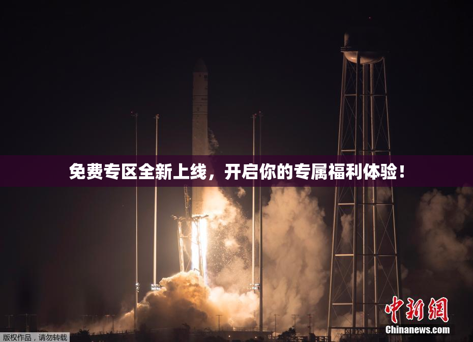 免费专区全新上线，开启你的专属福利体验！