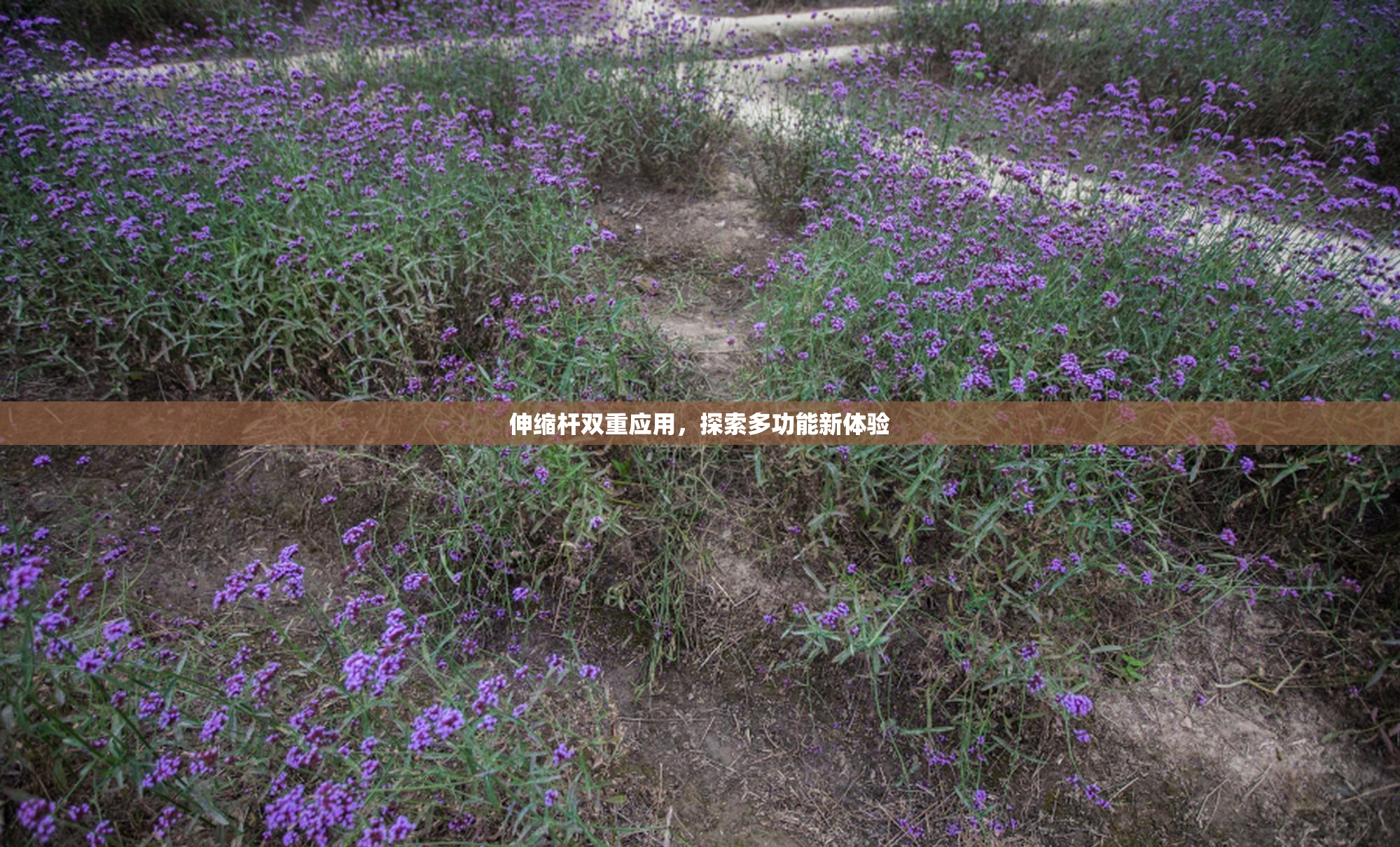 伸缩杆双重应用，探索多功能新体验