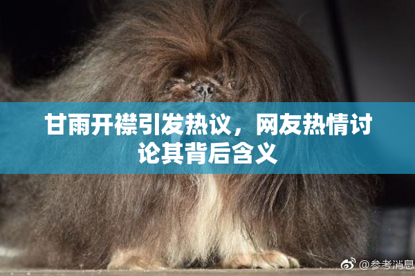 甘雨开襟引发热议，网友热情讨论其背后含义