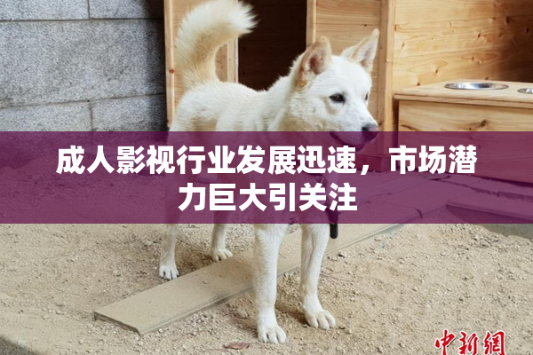 成人影视行业发展迅速，市场潜力巨大引关注
