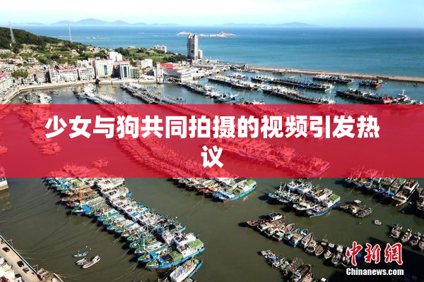 少女与狗共同拍摄的视频引发热议