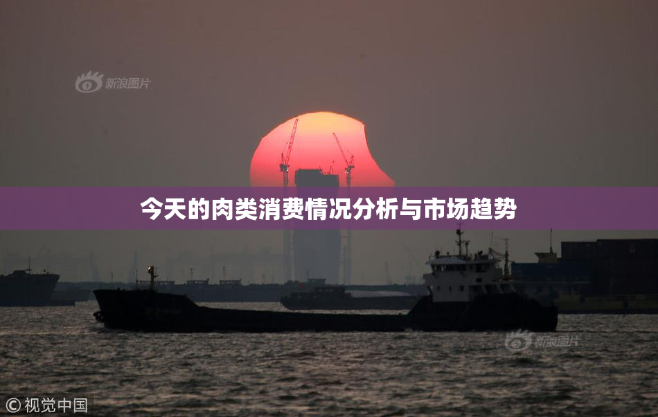 今天的肉类消费情况分析与市场趋势