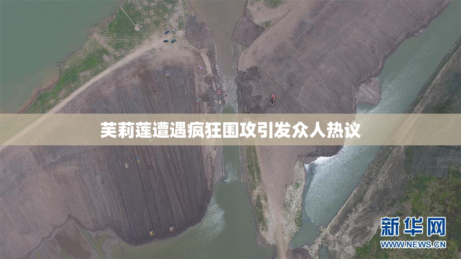 芙莉莲遭遇疯狂围攻引发众人热议