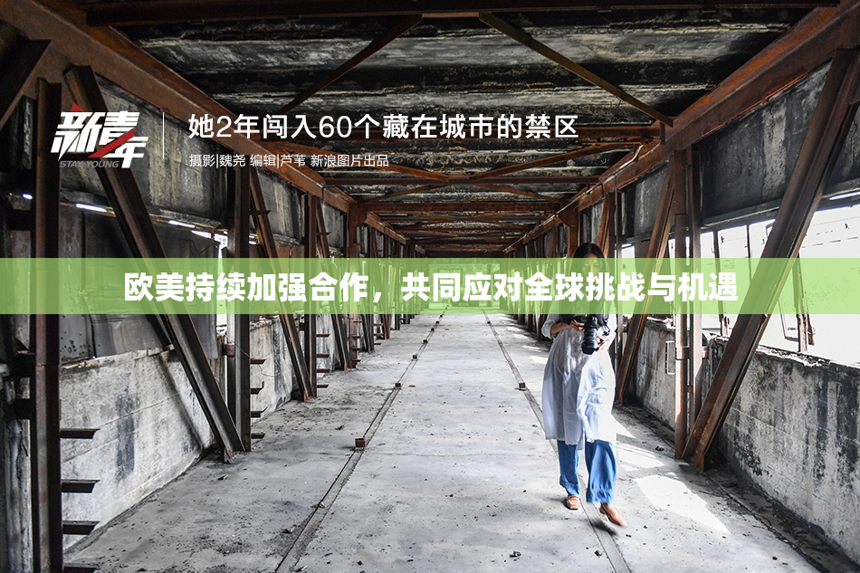 欧美持续加强合作，共同应对全球挑战与机遇