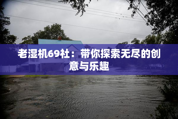 老湿机69社：带你探索无尽的创意与乐趣