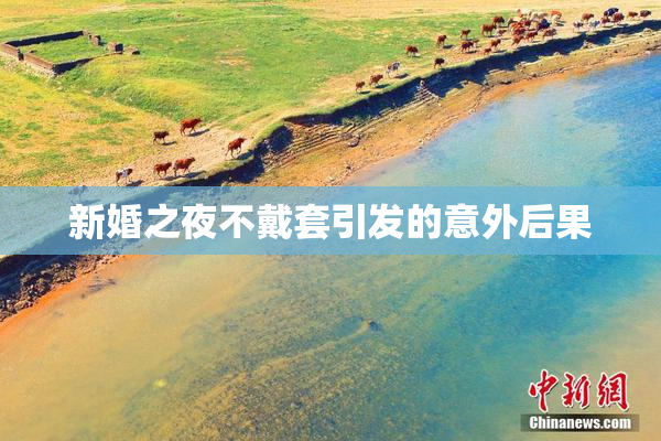 新婚之夜不戴套引发的意外后果