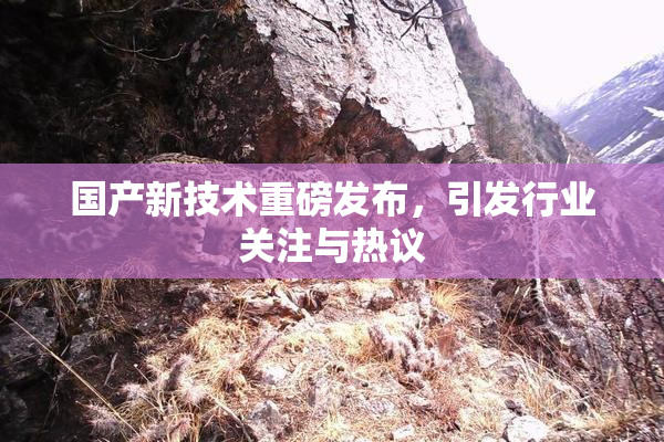 国产新技术重磅发布，引发行业关注与热议