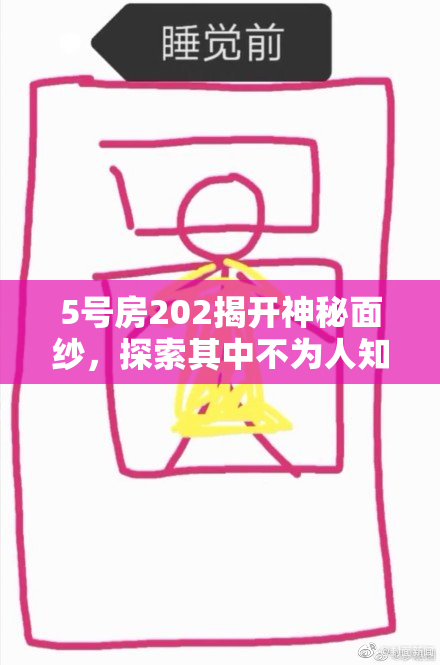 5号房202揭开神秘面纱,探索其中不为人知的故事