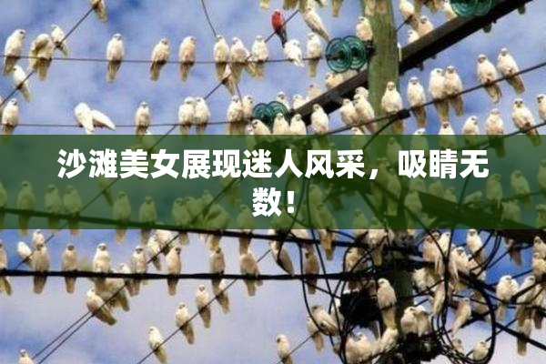 沙滩美女展现迷人风采，吸睛无数！