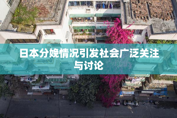 日本分娩情况引发社会广泛关注与讨论