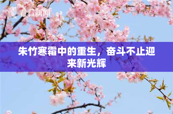 朱竹寒霜中的重生，奋斗不止迎来新光辉