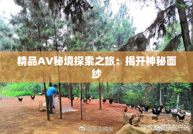 精品AV秘境探索之旅：揭开神秘面纱