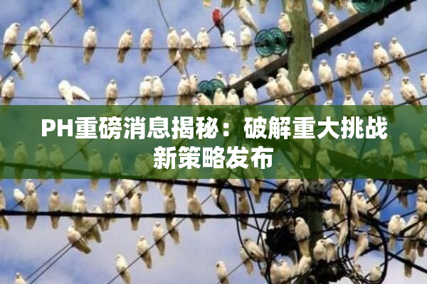 PH重磅消息揭秘：破解重大挑战新策略发布