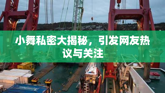 小舞私密大揭秘，引发网友热议与关注