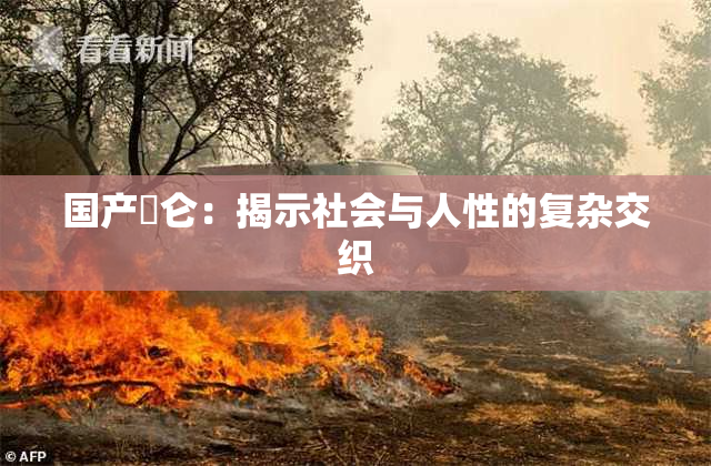 国产婬仑：揭示社会与人性的复杂交织