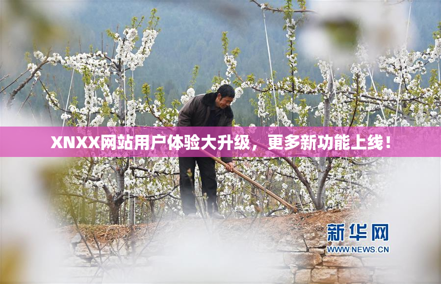 XNXX网站用户体验大升级，更多新功能上线！