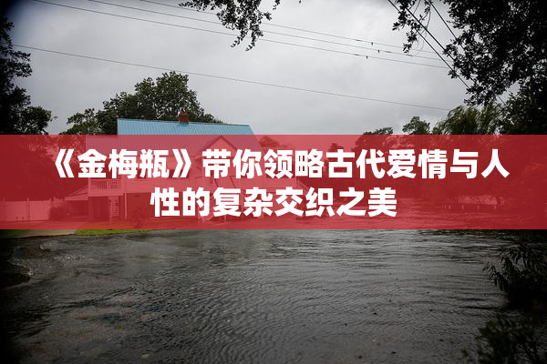 《金梅瓶》带你领略古代爱情与人性的复杂交织之美