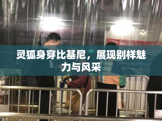 灵狐身穿比基尼，展现别样魅力与风采