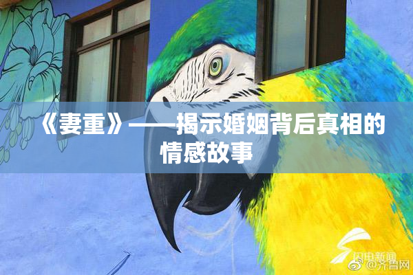 《妻重》——揭示婚姻背后真相的情感故事