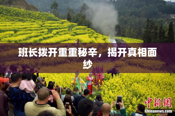 班长拨开重重秘辛，揭开真相面纱
