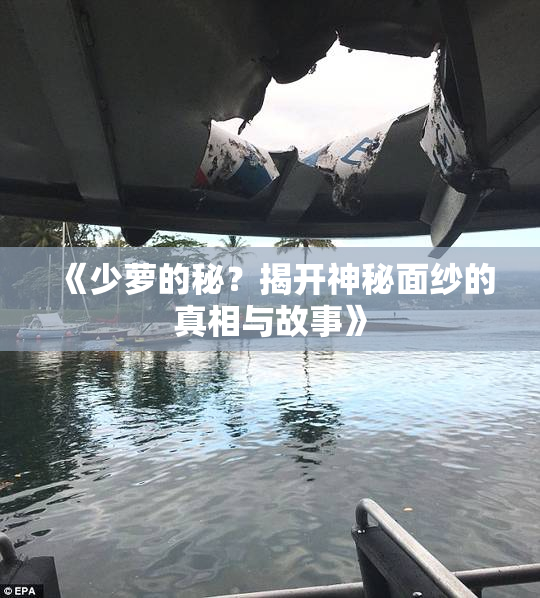 《少萝的秘？揭开神秘面纱的真相与故事》