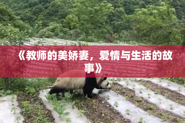 《教师的美娇妻，爱情与生活的故事》