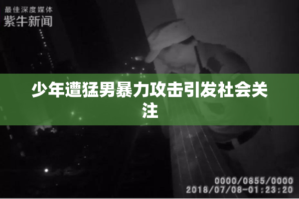 少年遭猛男暴力攻击引发社会关注