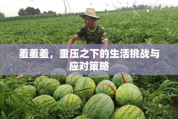 羞羞羞，重压之下的生活挑战与应对策略
