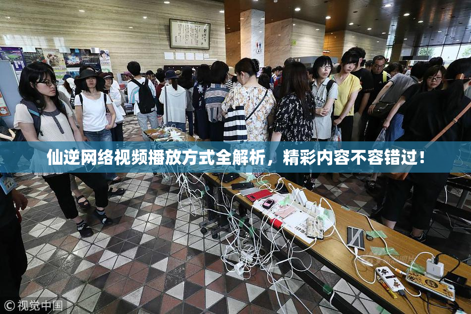 仙逆网络视频播放方式全解析，精彩内容不容错过！