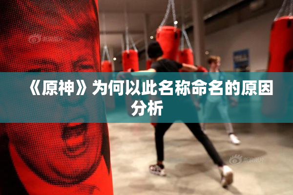 《原神》为何以此名称命名的原因分析
