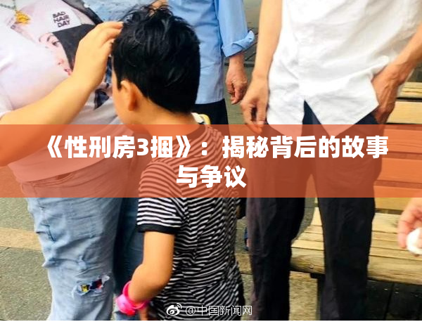 《性刑房3捆》:揭秘背后的故事与争议