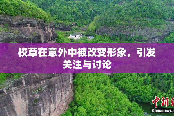 校草在意外中被改变形象，引发关注与讨论