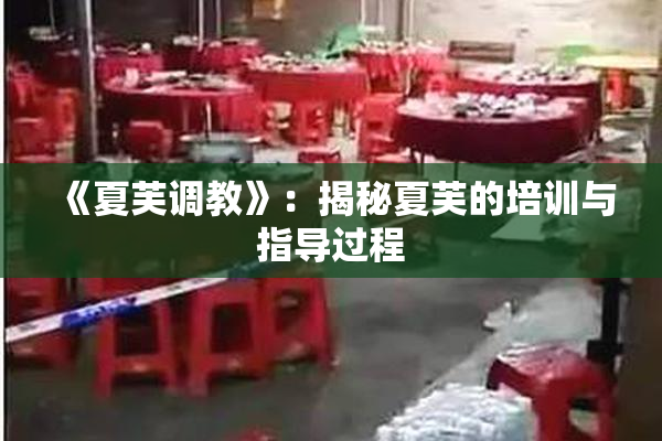 《夏芙调教》：揭秘夏芙的培训与指导过程