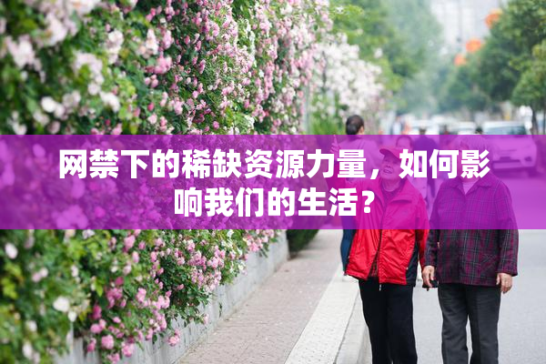 网禁下的稀缺资源力量，如何影响我们的生活？