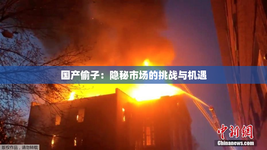 国产偷子：隐秘市场的挑战与机遇